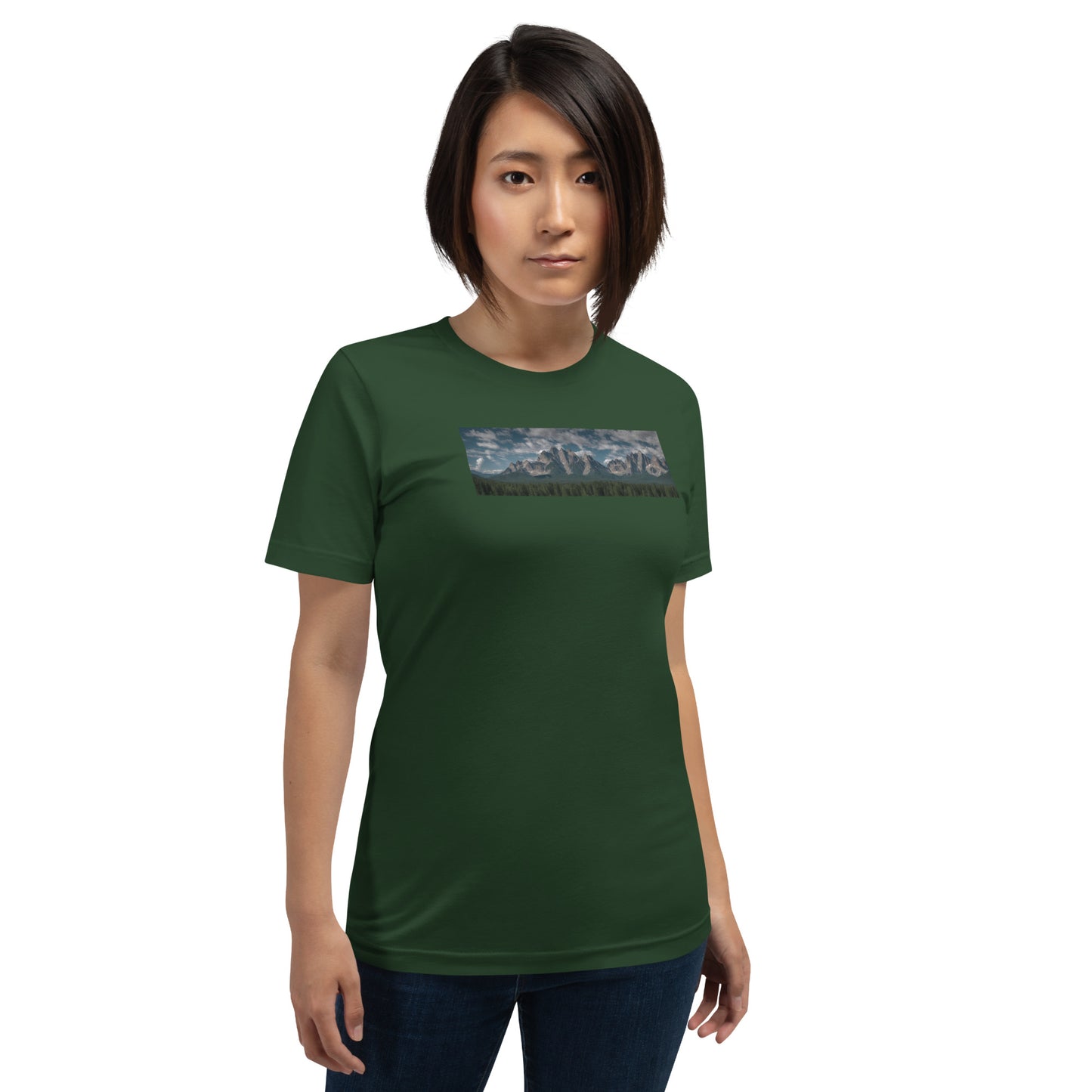 Japanese Mountains t-shirt