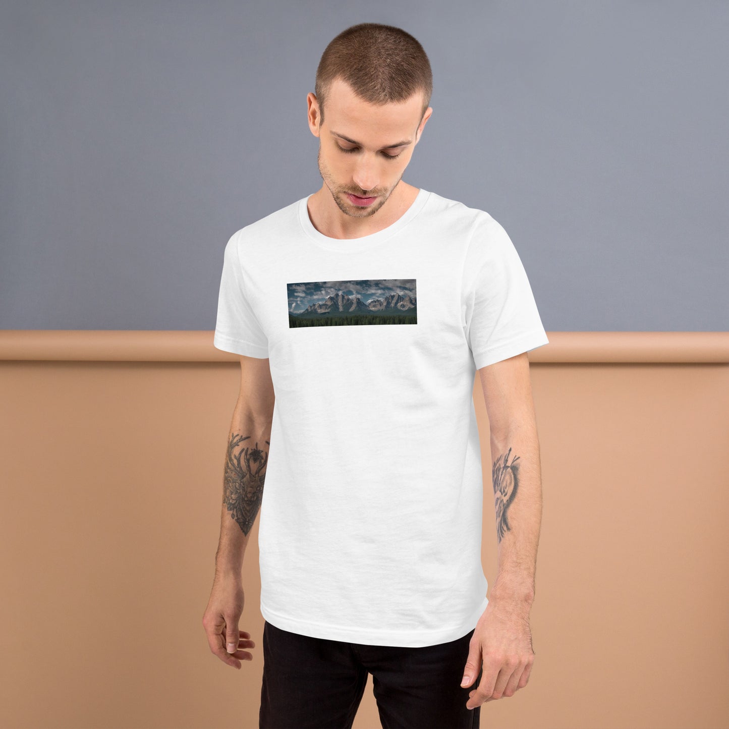 Japanese Mountains t-shirt